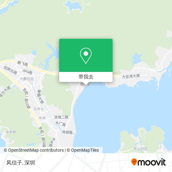 凤信子地图