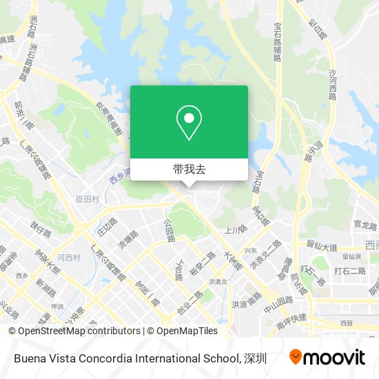 Buena Vista Concordia International School地图