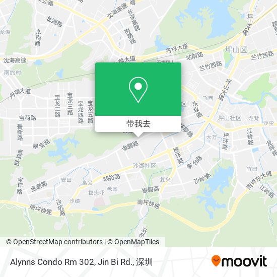 Alynns Condo Rm 302, Jin Bi Rd.地图