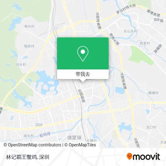 林记覇王鳖鸡地图
