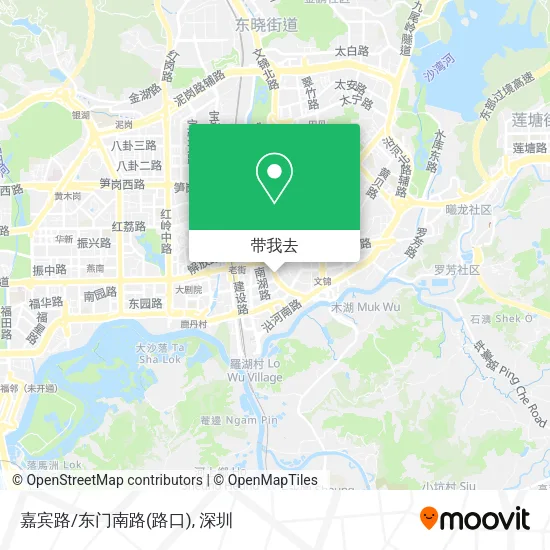 嘉宾路/东门南路(路口)地图