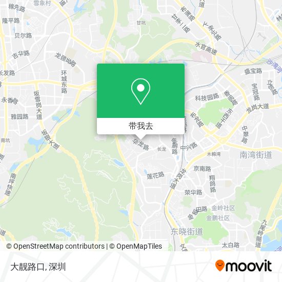 大靓路口地图