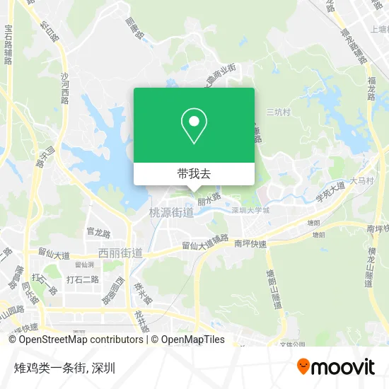 雉鸡类一条街地图
