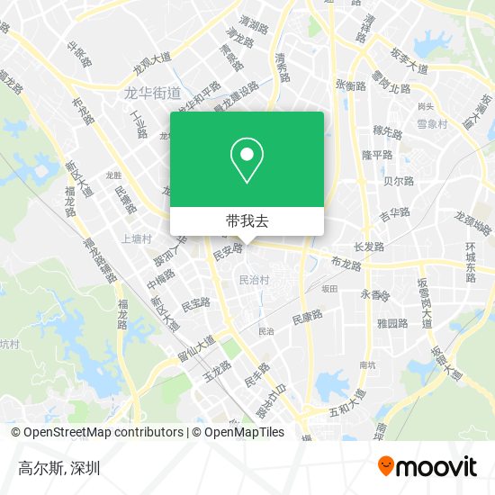 高尔斯地图