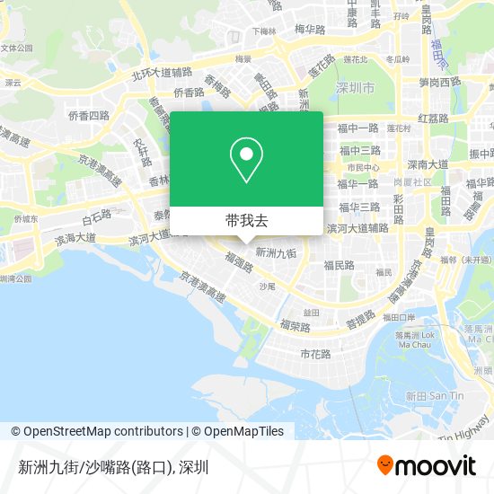 新洲九街/沙嘴路(路口)地图