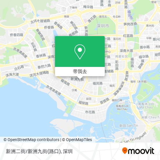 新洲二街/新洲九街(路口)地图