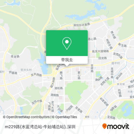 m229路(水蓝湾总站-牛始埔总站)地图