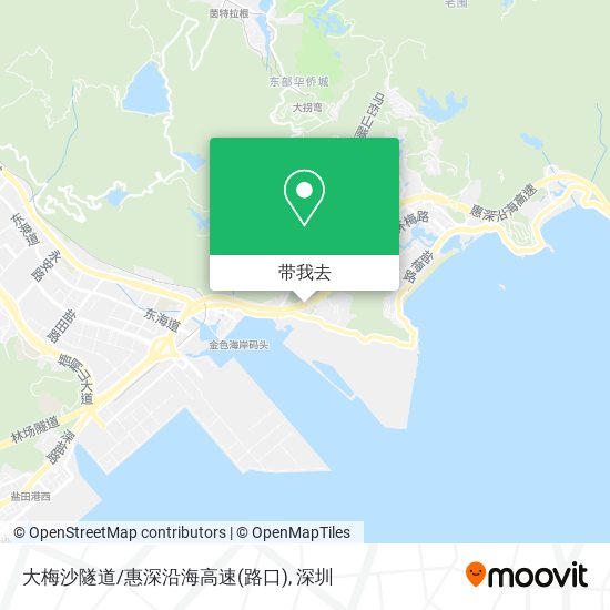 大梅沙隧道/惠深沿海高速(路口)地图