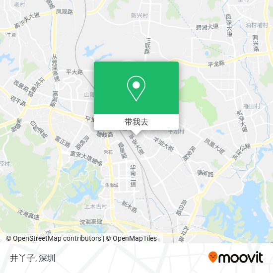 井丫子地图