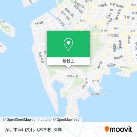深圳市南山文化武术学校地图