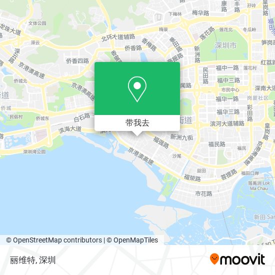 丽维特地图