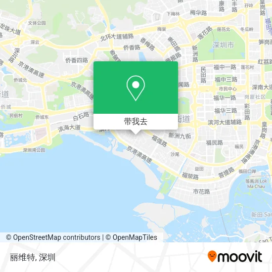丽维特地图