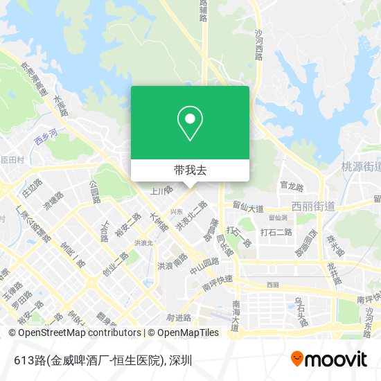 613路(金威啤酒厂-恒生医院)地图
