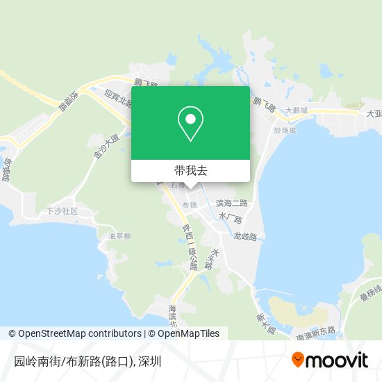 园岭南街/布新路(路口)地图