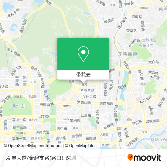 发展大道/金碧支路(路口)地图