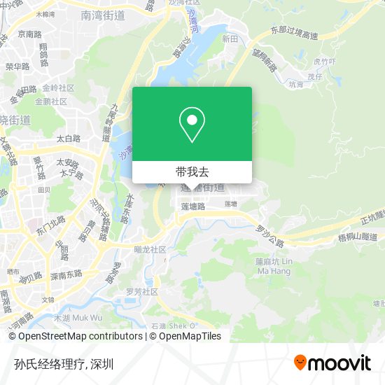 孙氏经络理疗地图