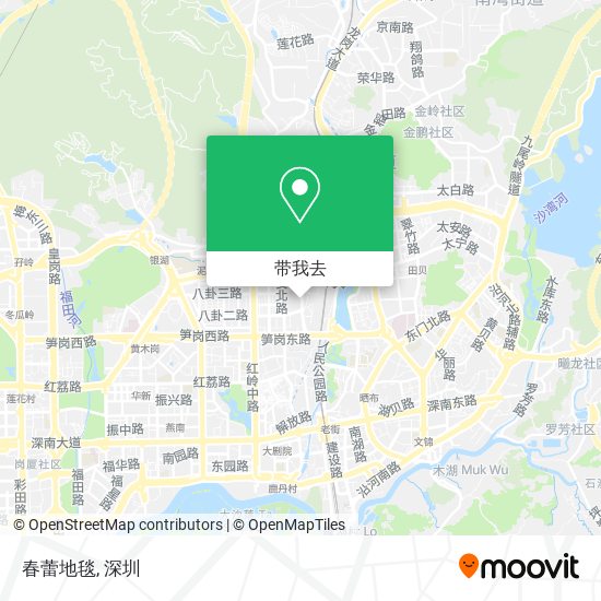 春蕾地毯地图