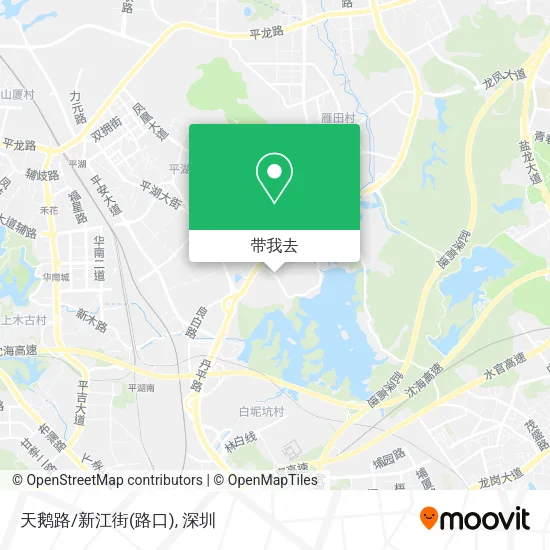 天鹅路/新江街(路口)地图