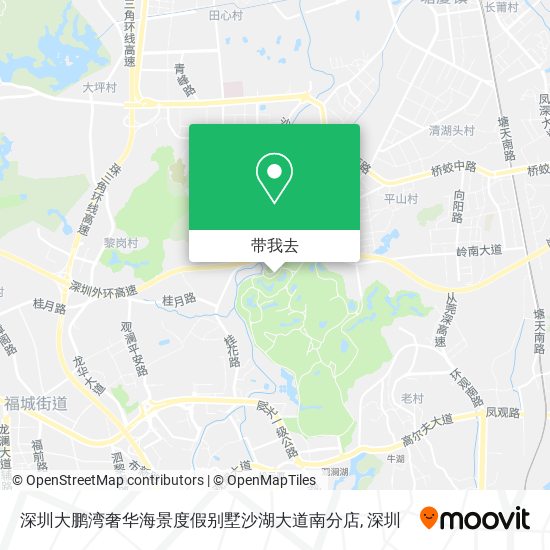 深圳大鹏湾奢华海景度假别墅沙湖大道南分店地图