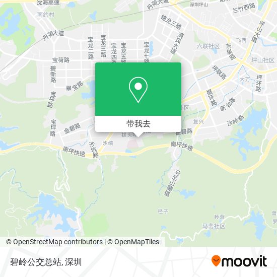 碧岭公交总站地图
