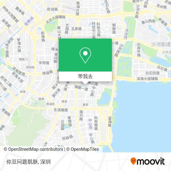 你豆问题肌肤地图