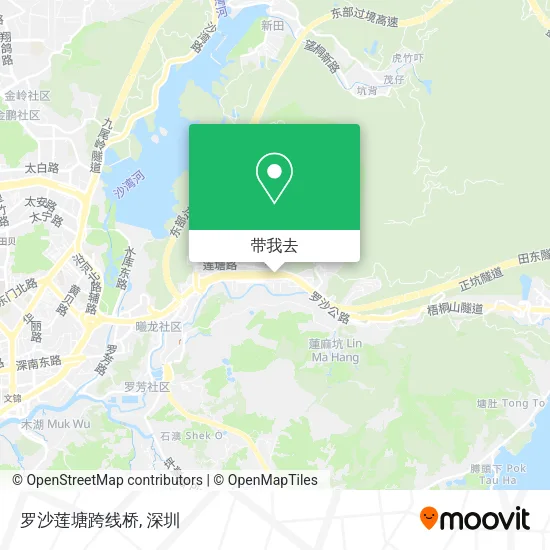 罗沙莲塘跨线桥地图