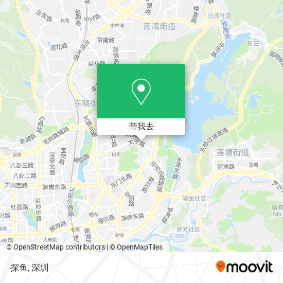 探鱼地图