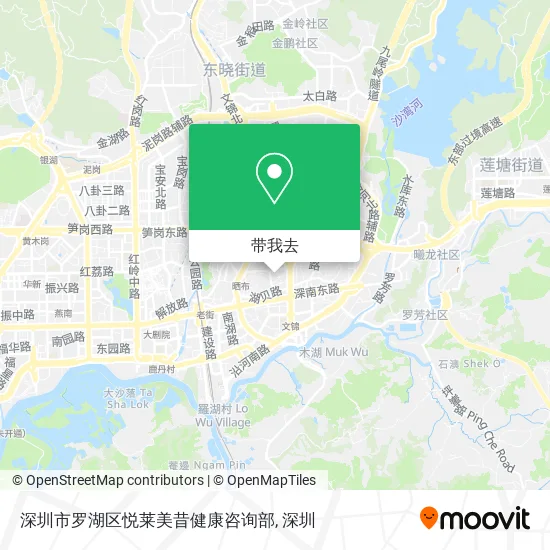深圳市罗湖区悦莱美昔健康咨询部地图