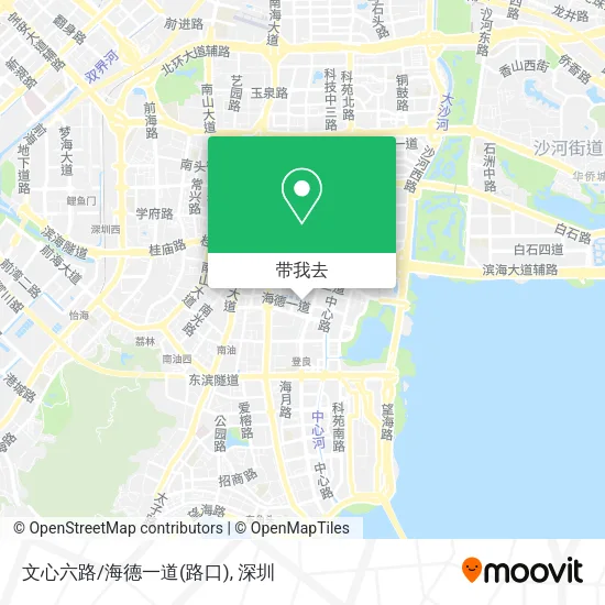 文心六路/海德一道(路口)地图