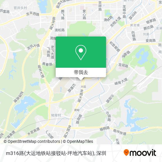 m316路(大运地铁站接驳站-坪地汽车站)地图