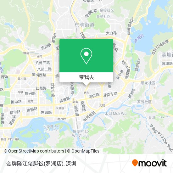 金牌隆江猪脚饭(罗湖店)地图