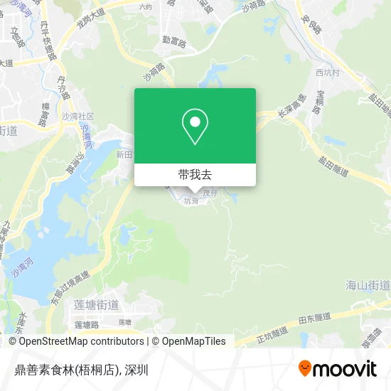 鼎善素食林(梧桐店)地图