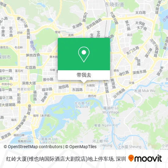 红岭大厦(维也纳国际酒店大剧院店)地上停车场地图