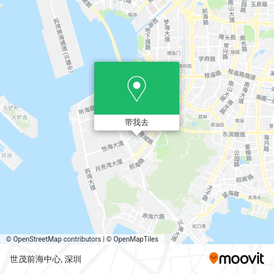 世茂前海中心地图
