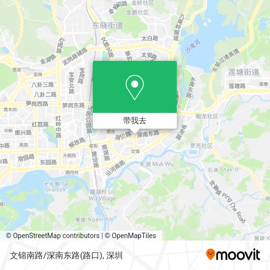 文锦南路/深南东路(路口)地图