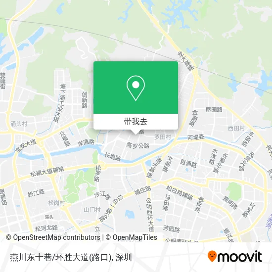 燕川东十巷/环胜大道(路口)地图