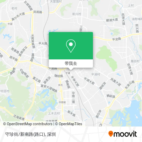 守珍街/新南路(路口)地图