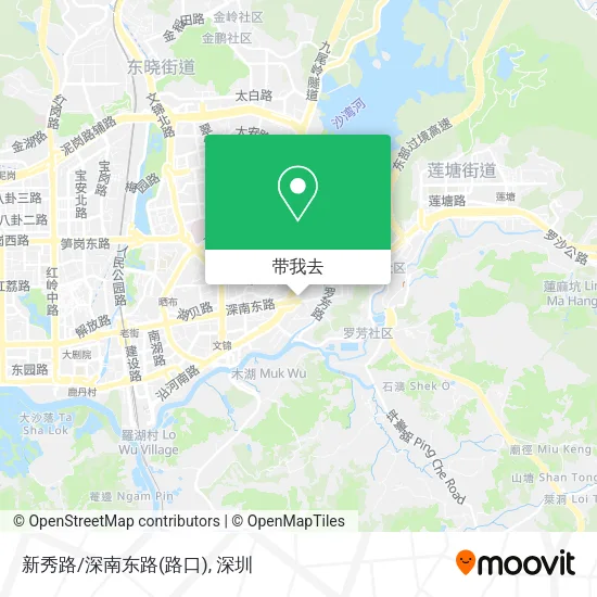 新秀路/深南东路(路口)地图