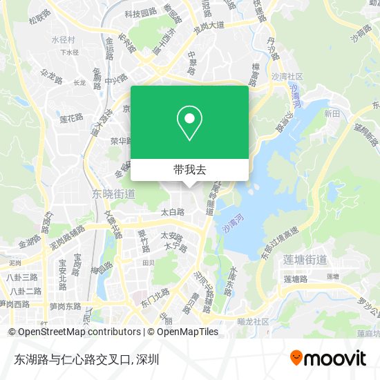 东湖路与仁心路交叉口地图