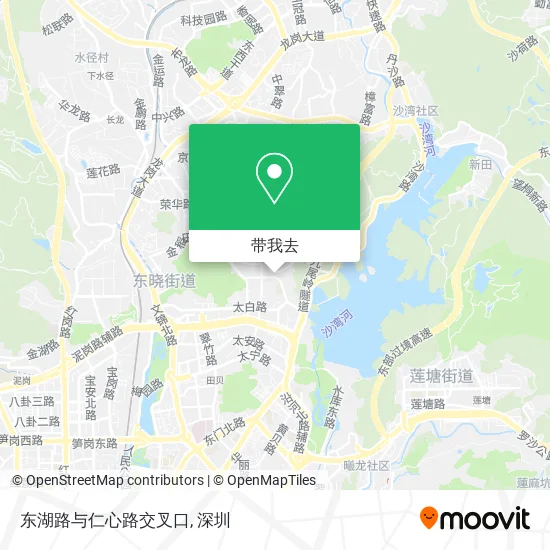 东湖路与仁心路交叉口地图