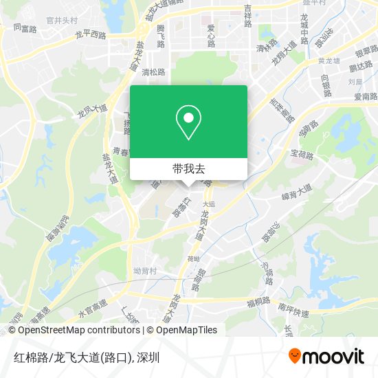 红棉路/龙飞大道(路口)地图