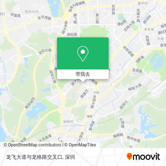 龙飞大道与龙格路交叉口地图
