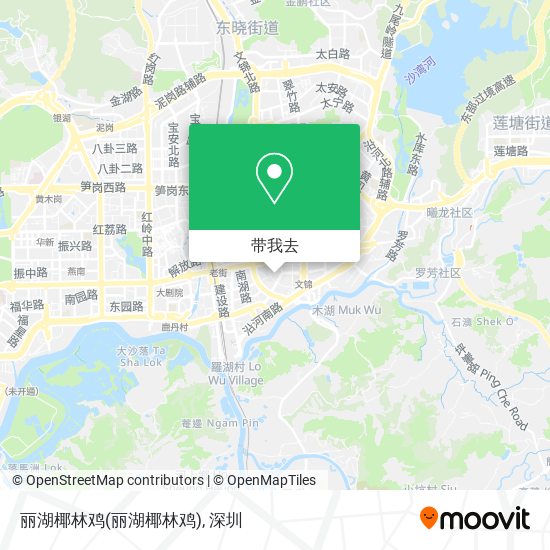 丽湖椰林鸡地图