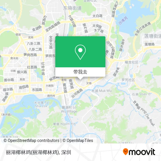 丽湖椰林鸡地图