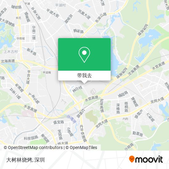 大树林烧烤地图