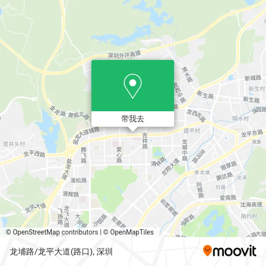 龙埔路/龙平大道(路口)地图