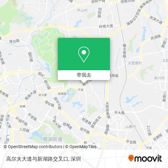 高尔夫大道与新湖路交叉口地图