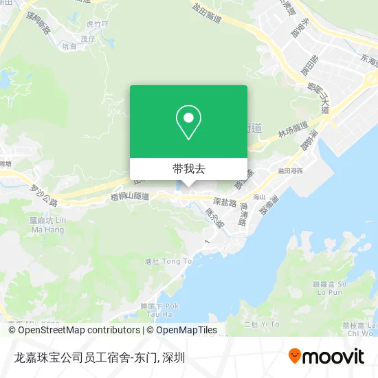 龙嘉珠宝公司员工宿舍-东门地图