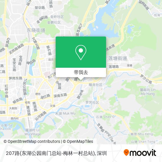 207路(东湖公园南门总站-梅林一村总站)地图