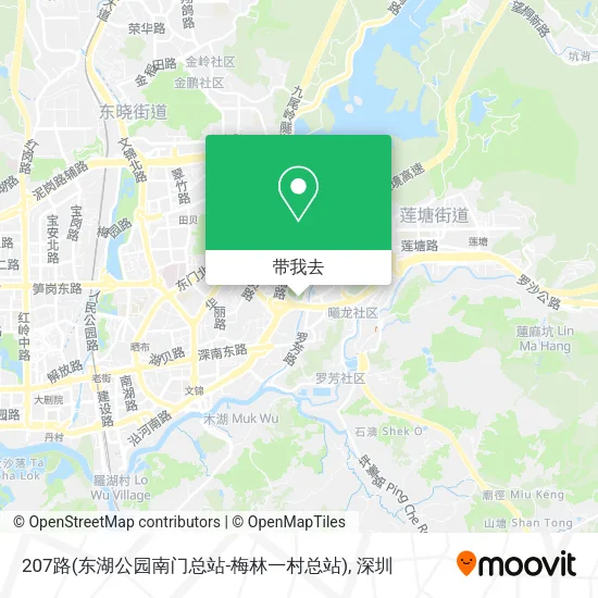 207路(东湖公园南门总站-梅林一村总站)地图
